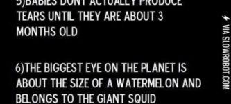 10+things+you+%28probably%29+didn%26%238217%3Bt+know+about+eyes.