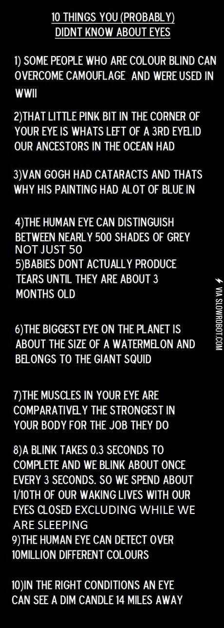 10+things+you+%28probably%29+didn%26%238217%3Bt+know+about+eyes.