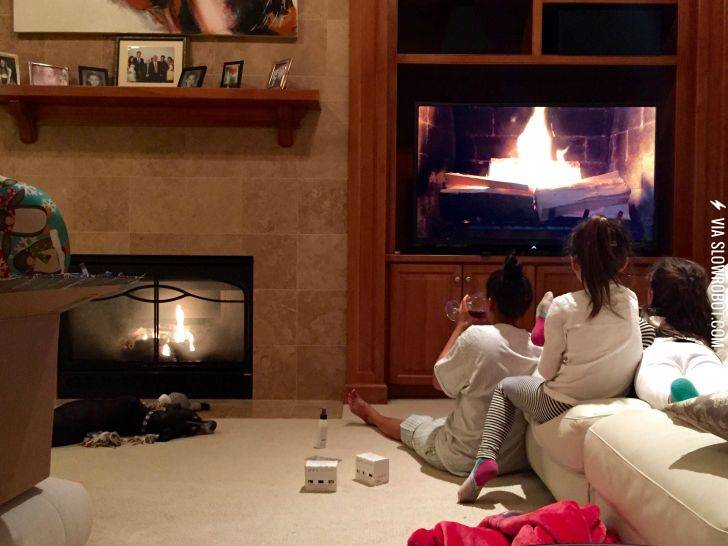 Occasionally+the+dog+is+the+smartest+one+in+my+family.