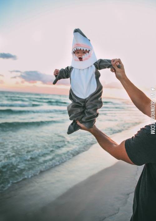 Shark+Boy
