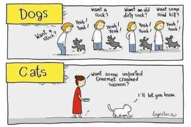 Dogs+Vs.+Cats