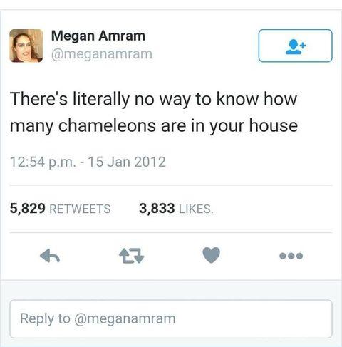 Goes+searching+for+them