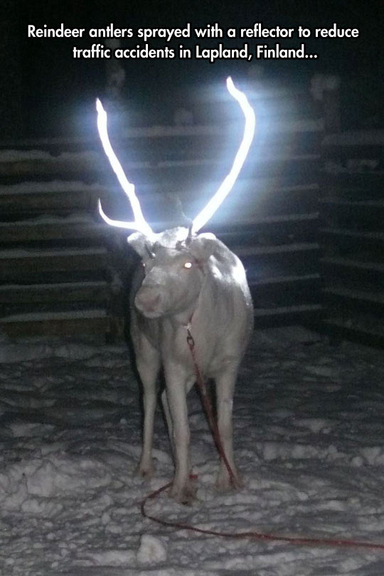 That%26%238217%3Bs+A+Brilliant+Idea