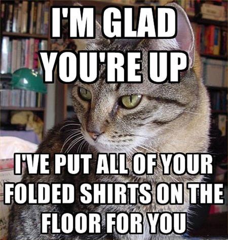 I%26%238217%3Bm+Glad+You%26%238217%3Bre+Up