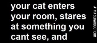 That+terrifying+moment+when%26%238230%3B