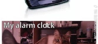 Normal+alarm+clock+vs.+My+alarm+clock.