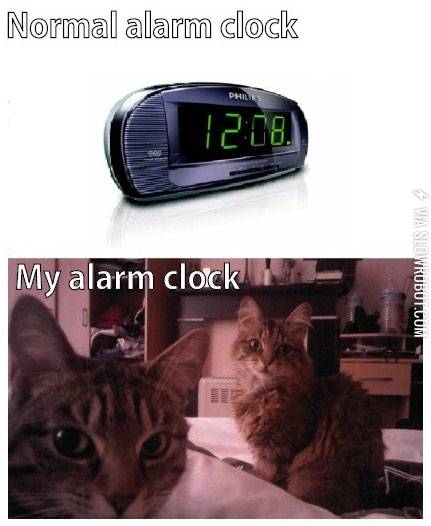 Normal+alarm+clock+vs.+My+alarm+clock.