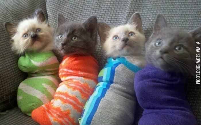 Kitty+sleeping+bags.