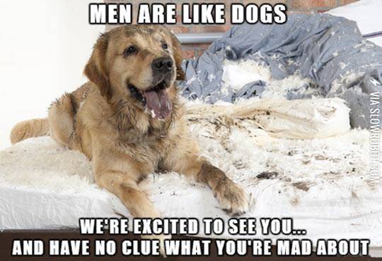 Men+are+like+dogs.