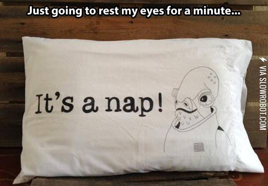 It%26%238217%3Bs+a+nap%21