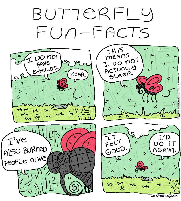 Butterfly+fun-facts.