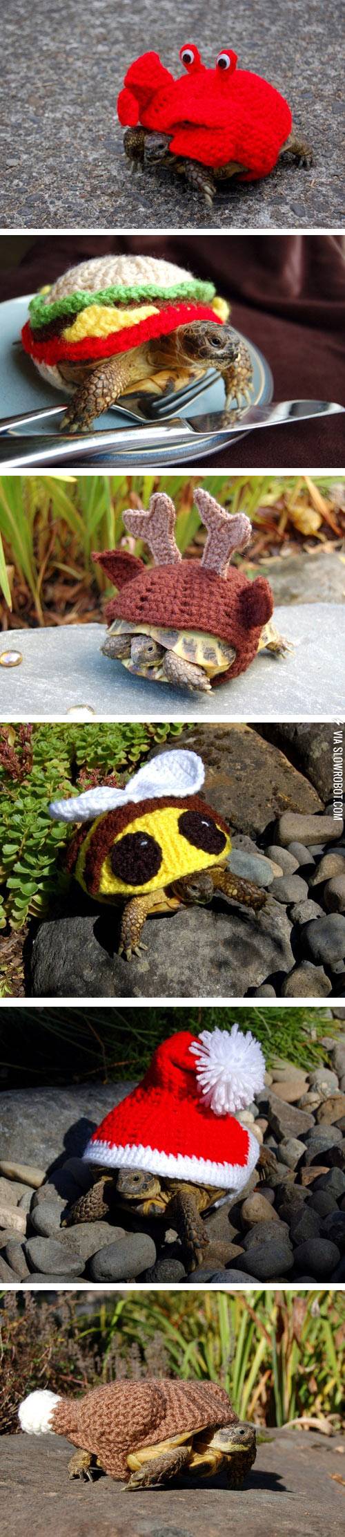 Turtles+in+costumes.