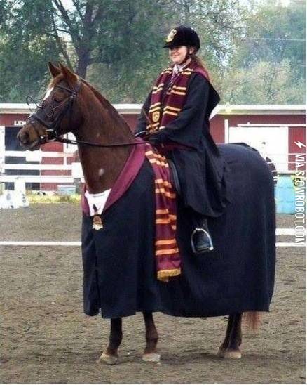 The+horse+even+has+glasses