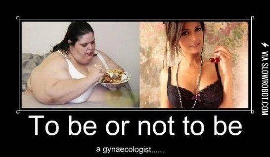 To+be+or+not+to+be+a+gynecologist%26%238230%3B.