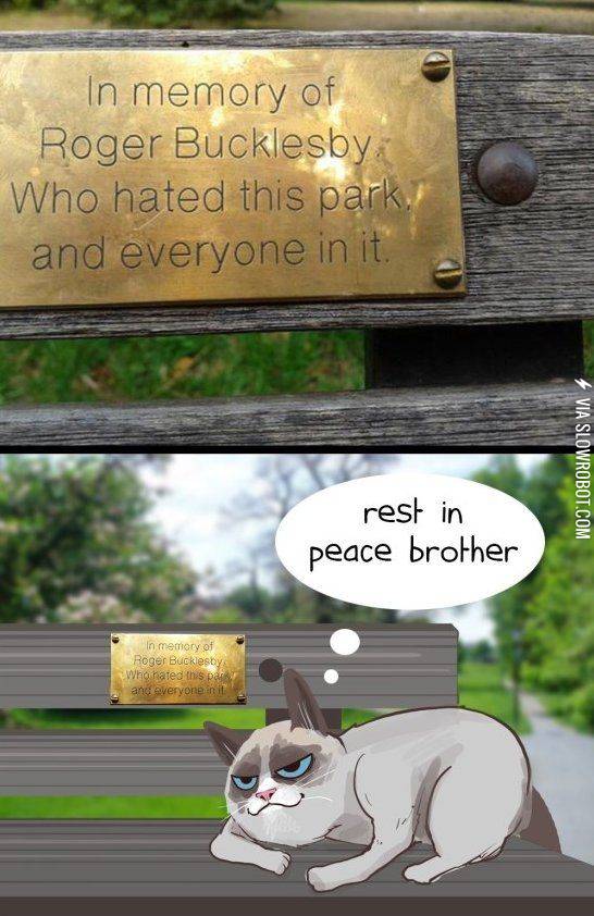 Grumpy+Cat+understands%26%238230%3B