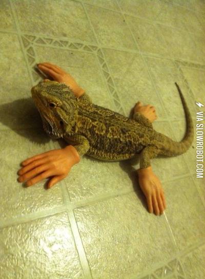 Edward+Lizard-Hands