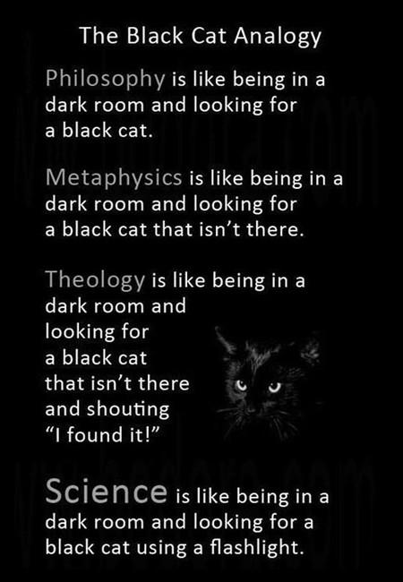 The+Black+Cat+Analogy