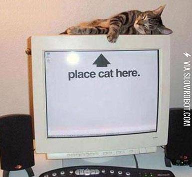 Just+Following+Instructions