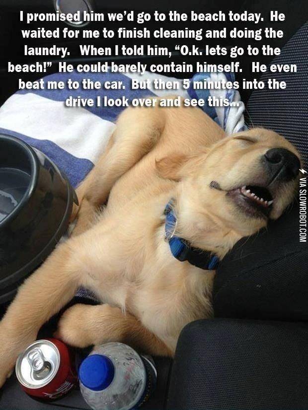 i+promised+him+we%26%238217%3Bd+go+to+the+beach+today