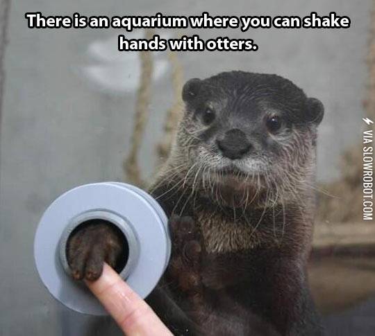 I+want+to+go+to+there.