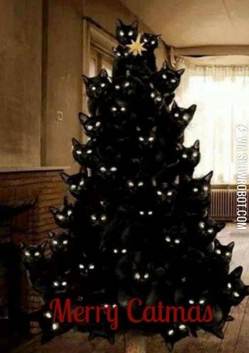 Merry+Catmas%21
