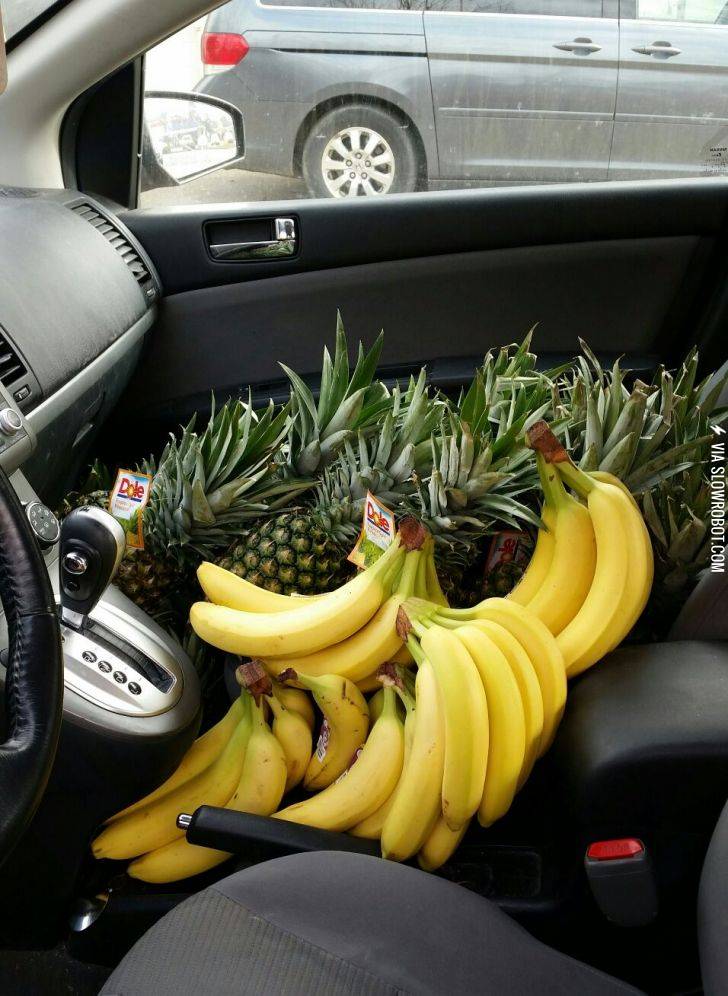 I+am+the+person+from+your+3rd+grade+math+word+problems.