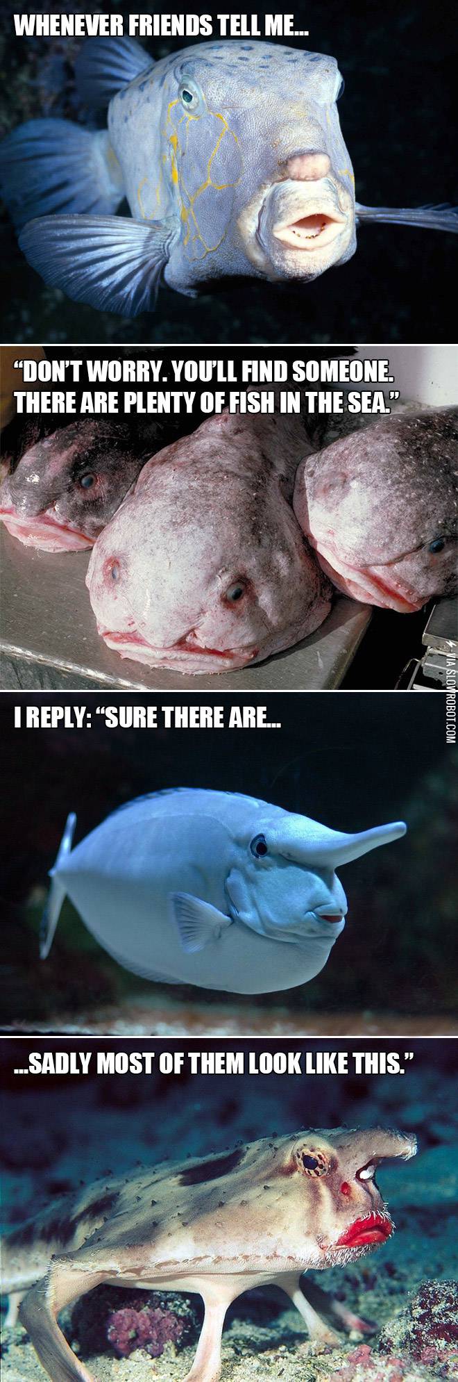 Plenty+of+fish+in+the+sea.