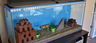 Super+Mario+fish+tank