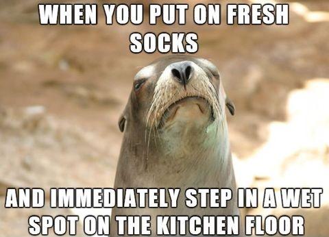 Much+fury%2C+such+sad