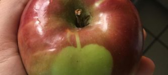 My+Apple+has+an+apple+on+it