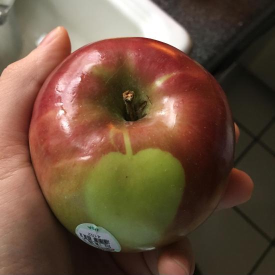 My+Apple+has+an+apple+on+it