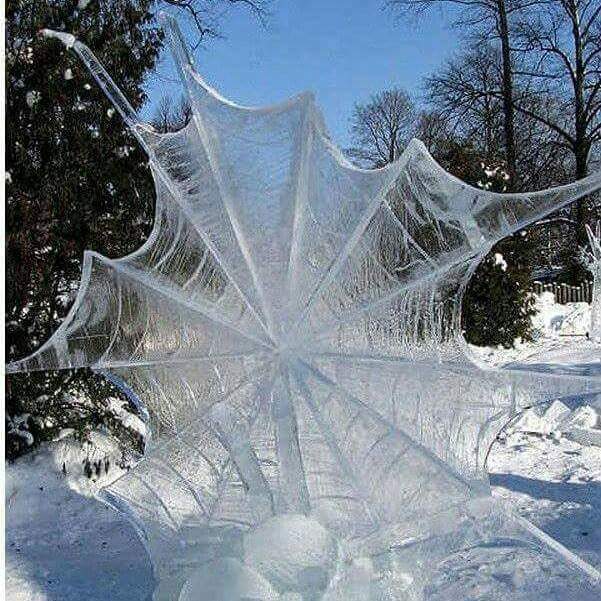 Frozen+spider+web