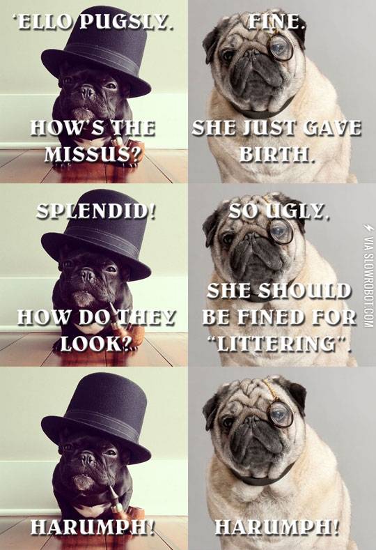 Fined+for+%26%238220%3Blittering.%26%238221%3B