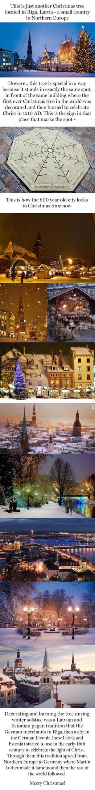 The+place+of+the+first+Christmas+tree.