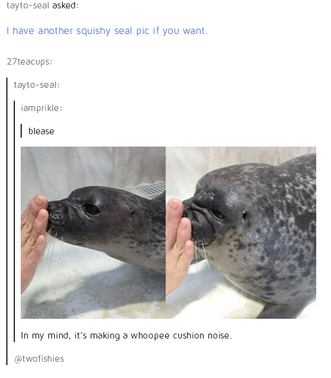 Squeaky-toy+sound+for+me