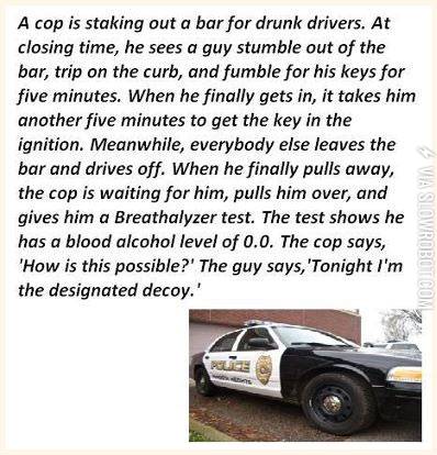 The+designated+decoy.