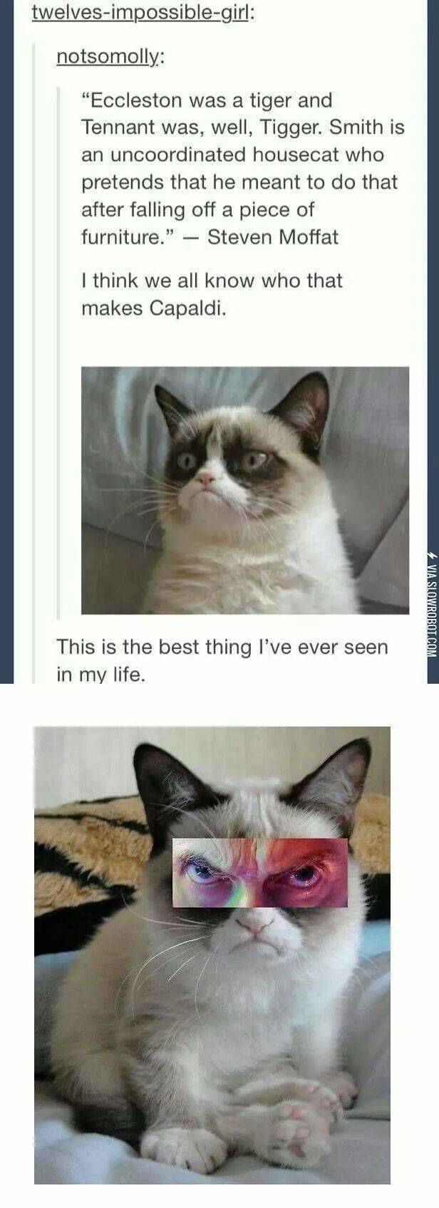 grumpy+cat+Capaldi