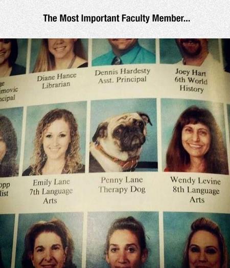 The+Most+Important+Faculty+Member%26%238230%3B