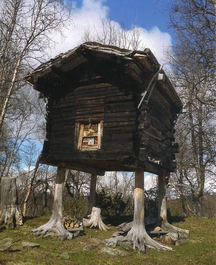 18th+century+Norwegian+tree+house.