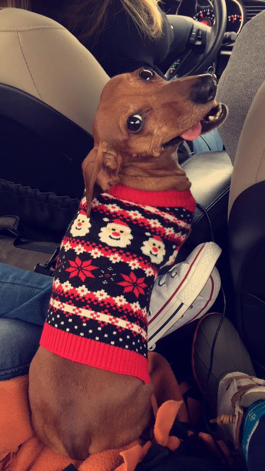 Going+to+Granny%26%238217%3Bs+House+for+Christmas.+I%26%238217%3Bm+so+excited%21%21