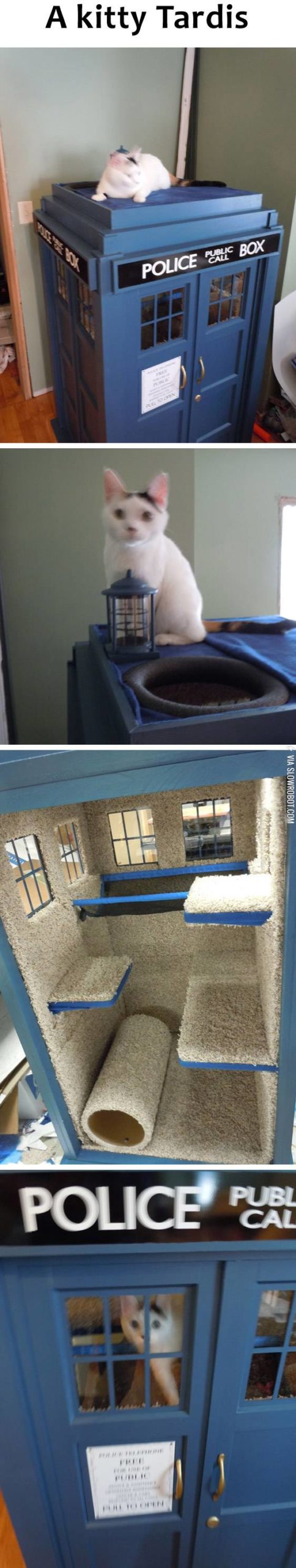 A+kitty+Tardis.