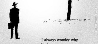 I+always+wonder+why+birds+stay+in+the+same+place%26%238230%3B