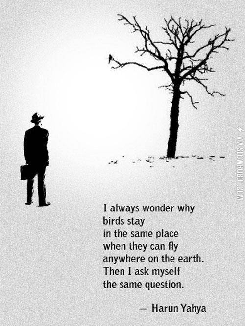 I+always+wonder+why+birds+stay+in+the+same+place%26%238230%3B