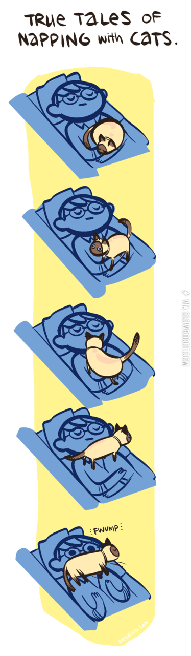 True+tales+of+napping+with+cats.