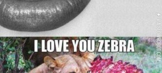 I+love+you+zebra.