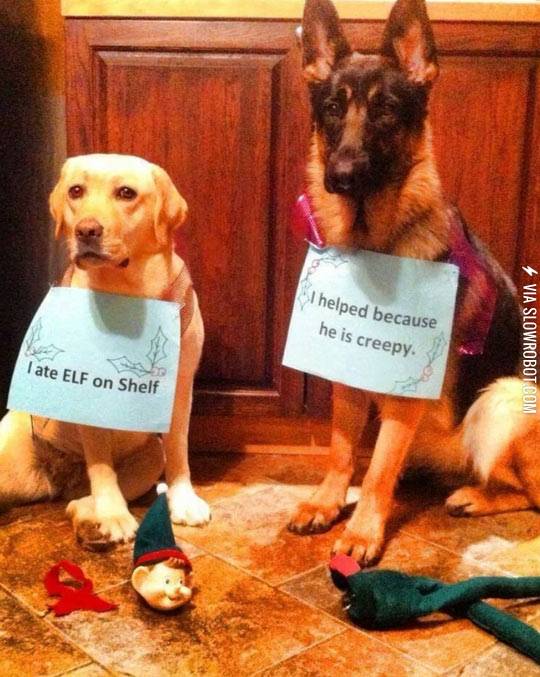 They+hate+elf+on+a+shelf+as+much+as+I+do.