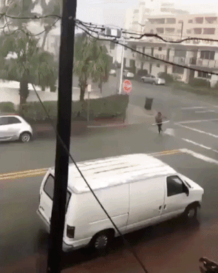 Surfing+on+the+street