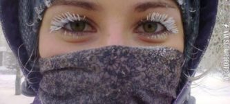 What+happens+to+eyelashes+in+the+extreme+cold.