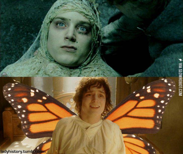 I+thank+the+people+of+the+internet+for+this+photo.