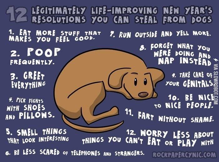 New+Years+resolutions+you+can+steal+from+dogs.